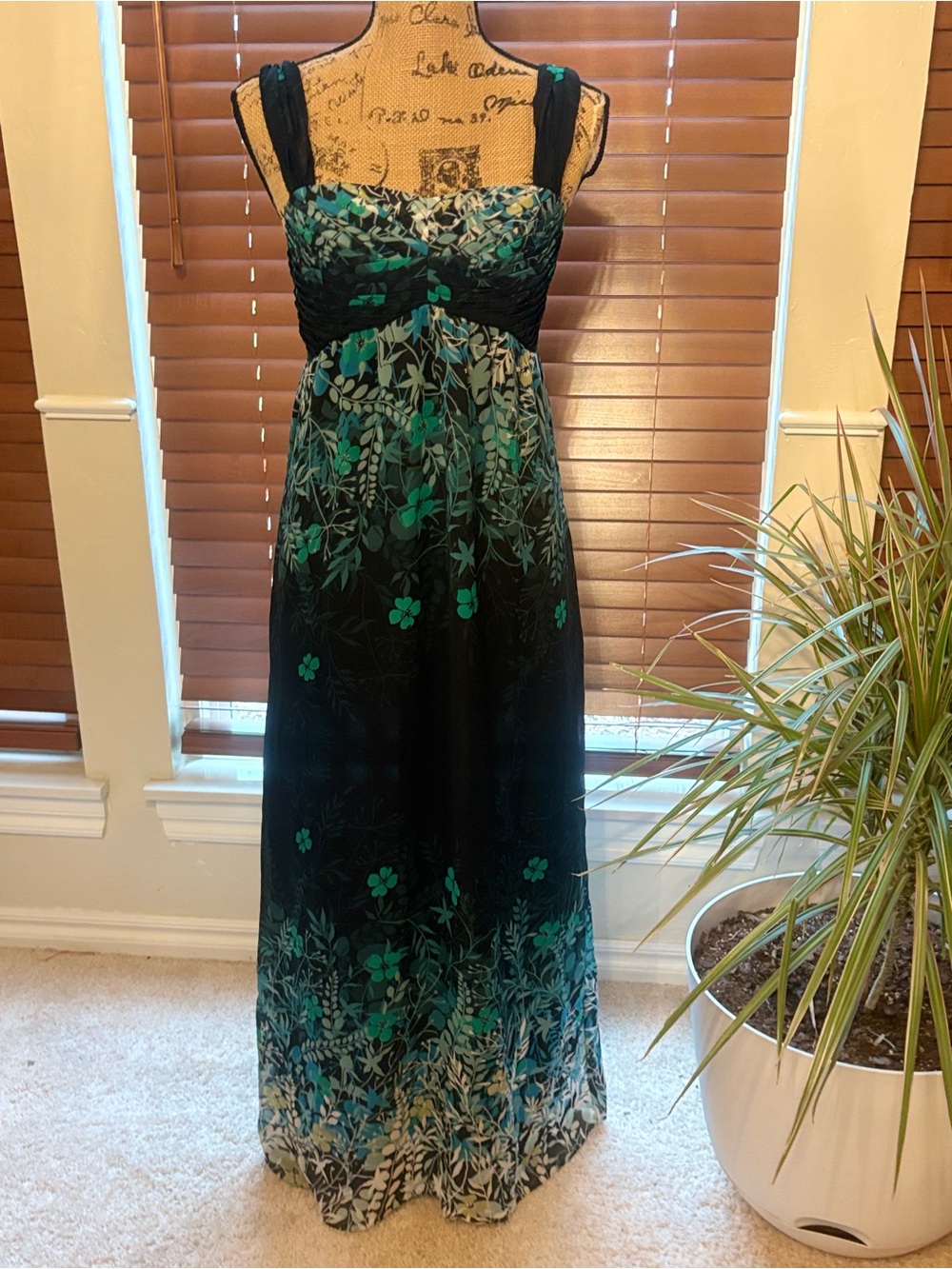 Sandra Darren Floral Chiffon Maxi Dress Size 10 Black Teal Empire Waist